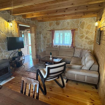 זבליאק Vacation Home Andjelic מראה חיצוני תמונה